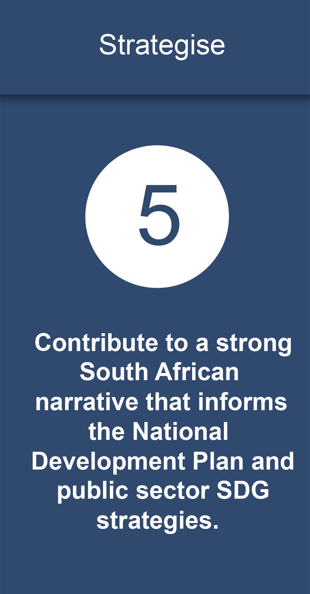 Contribute to a strong South African narrative that informs the National Development Plan and public sector SDG strategies.