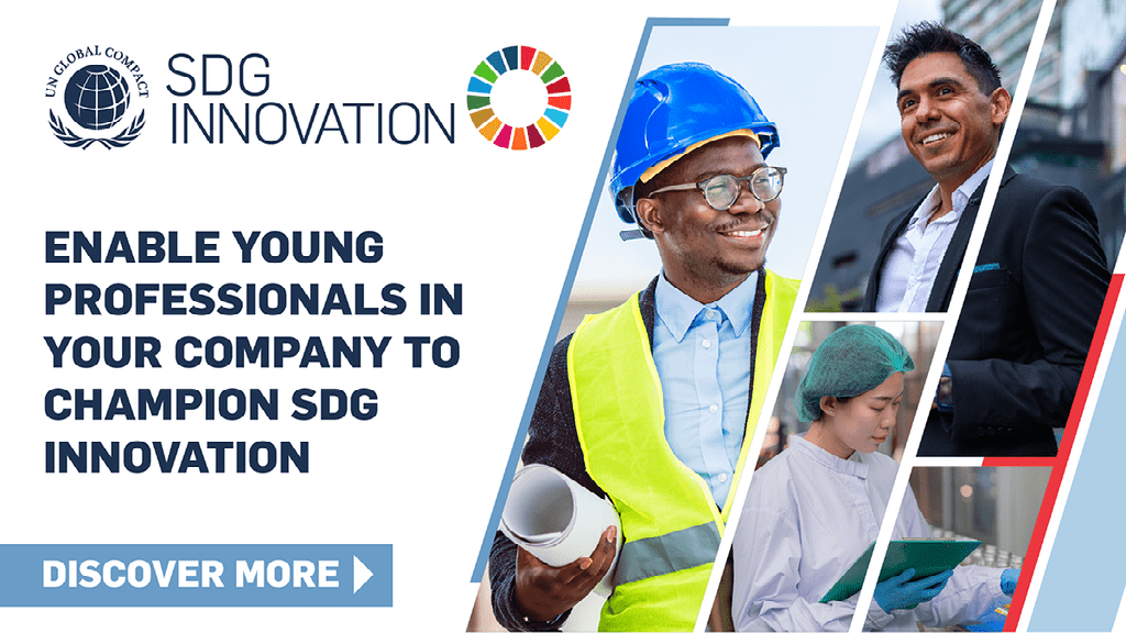 SDG Innovation Accelerator For Young Professionals - Global Compact ...